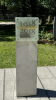 IMG 0270