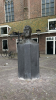IMG 0641