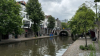 IMG 0661