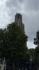 IMG 0732