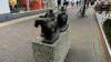 IMG 0585