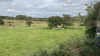 IMG 2204