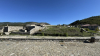 IMG 3087