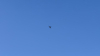 IMG 3095