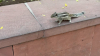 IMG 3677