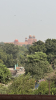 IMG 7962