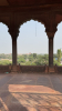 IMG 7963