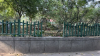 IMG 7987