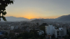IMG 4893