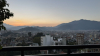 IMG 4949