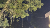 IMG 7168