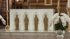 IMG 7724
