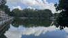 IMG 7355