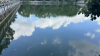 IMG 7356