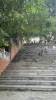 IMG 7357