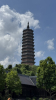 IMG 7391