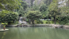 IMG 7691