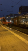 IMG 9601
