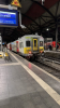 IMG 9606