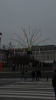 IMG 9862
