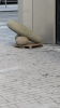 IMG 0377