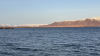 IMG 0387
