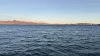 IMG 0395
