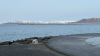 IMG 0416