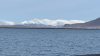 IMG 0419