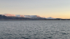 IMG 9874