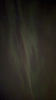 IMG 0486