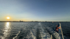 IMG 0031