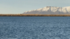IMG 0278