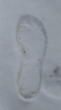 IMG 2155