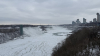 IMG 1531