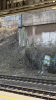 IMG 4862