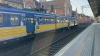 IMG 6593