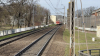 IMG 7251