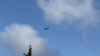 IMG 7273