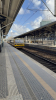 IMG 7276