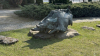 IMG 6779