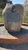 IMG 6942