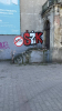 IMG 7157