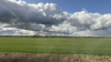 IMG 7278
