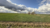 IMG 7280
