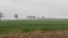 IMG 7293
