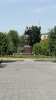 IMG 7806