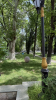 IMG 7896