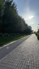 IMG 9876