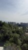 IMG 0210